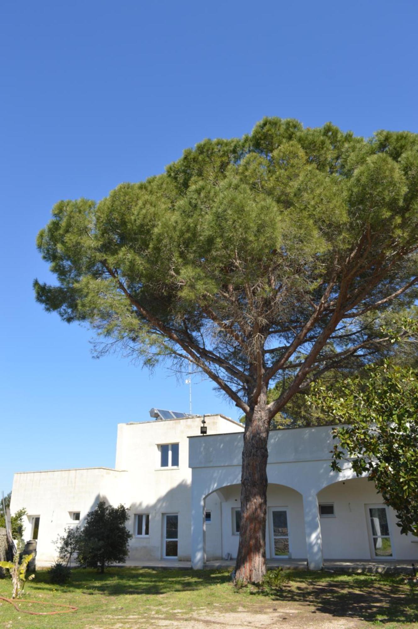 Agriturismo Tenute Masseria Notari Борґаньє Екстер'єр фото